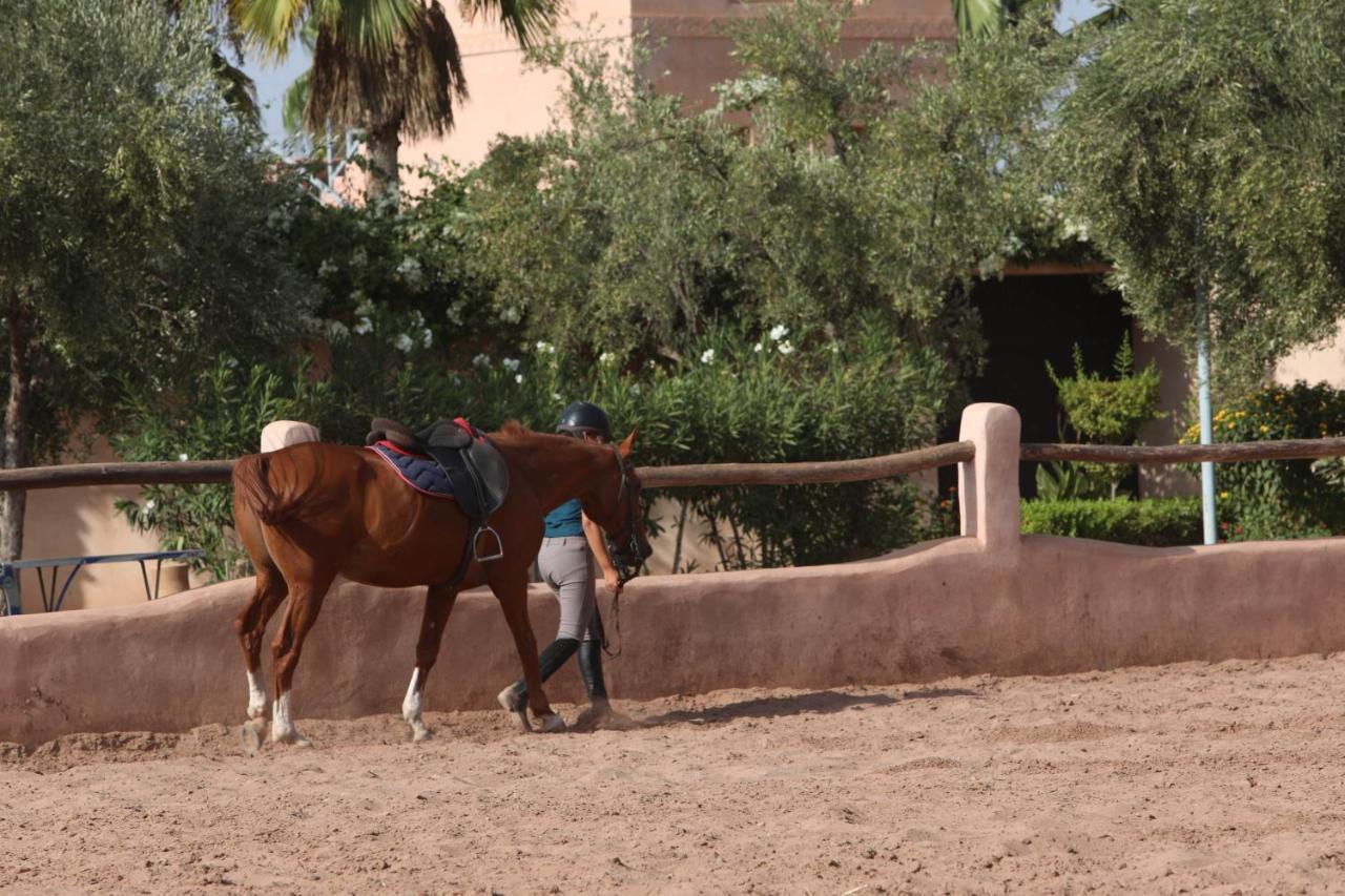 Villa Katia El Harkat ภายนอก รูปภาพ
