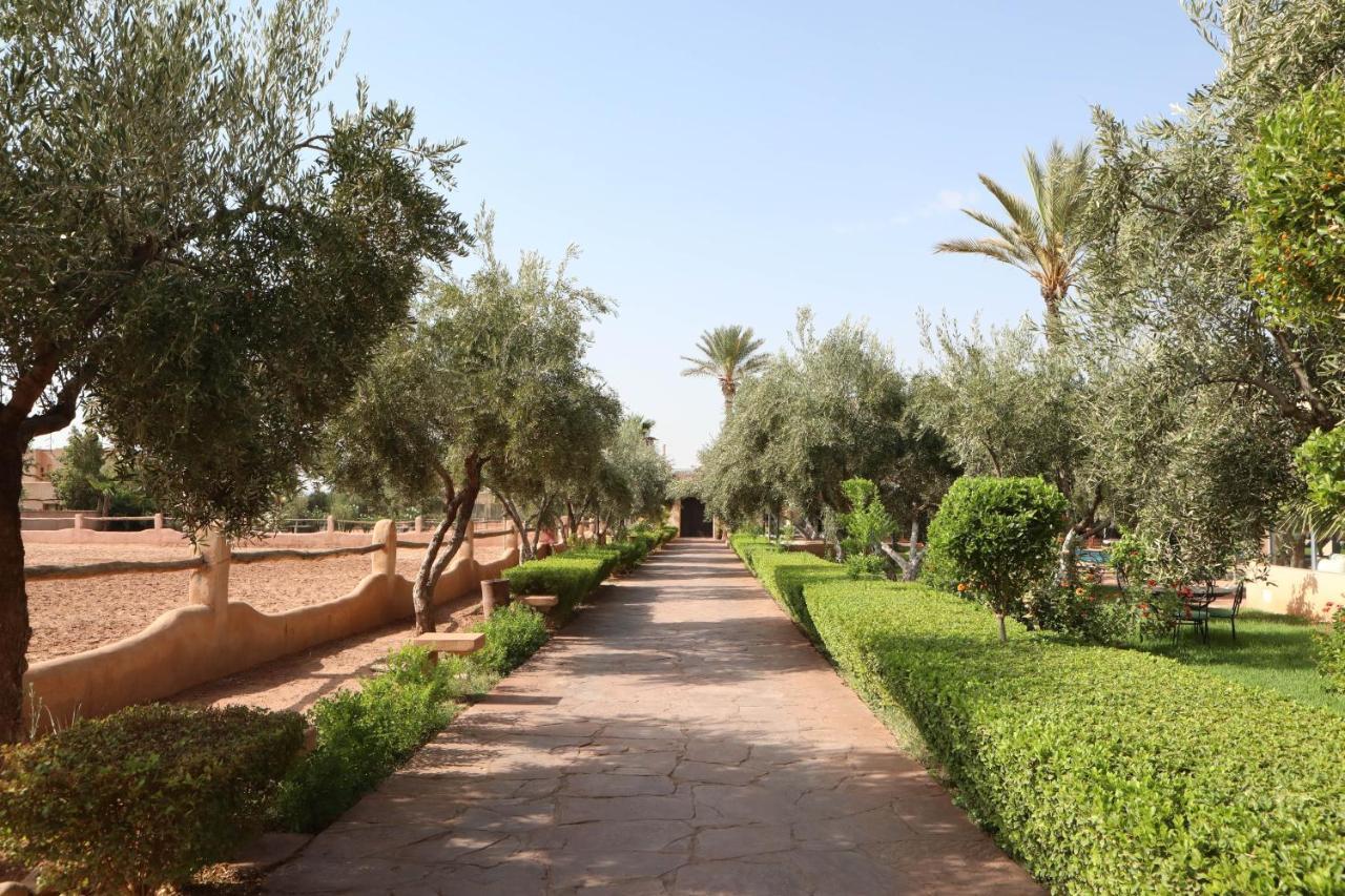 Villa Katia El Harkat ภายนอก รูปภาพ