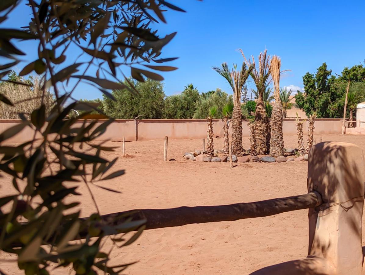 Villa Katia El Harkat ภายนอก รูปภาพ